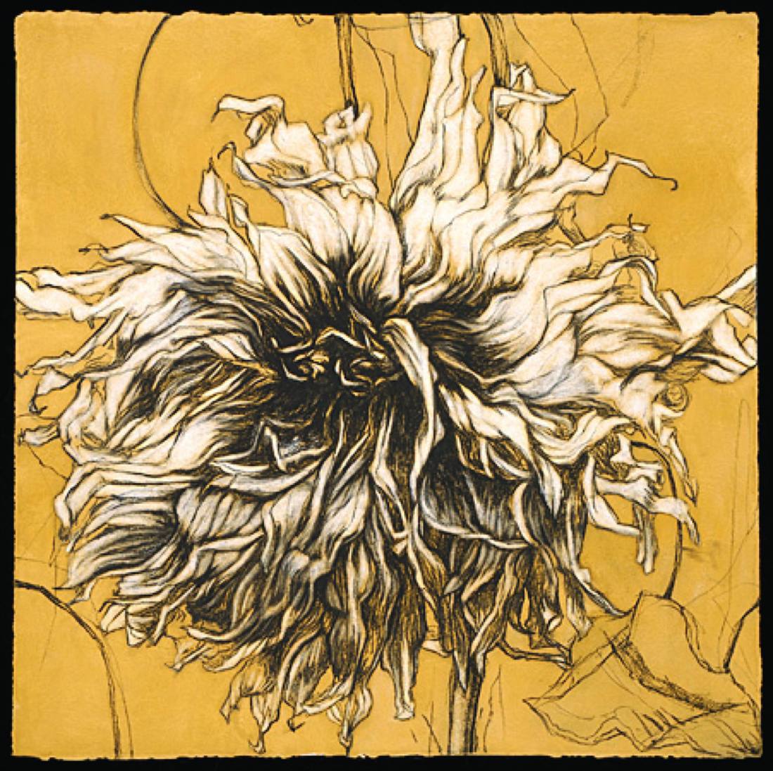 Work by Helen Gotlib, 2012