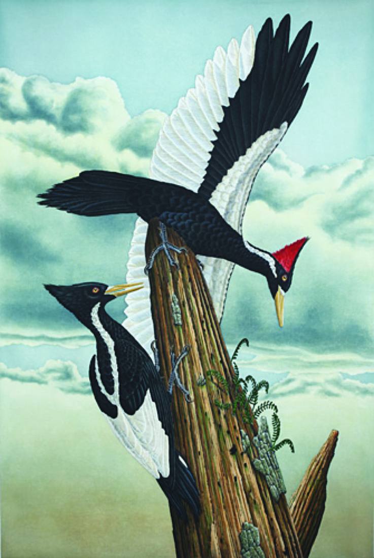 Work by John Costin, 2013
