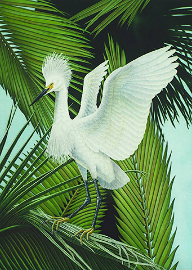 Work by John Costin, 2014