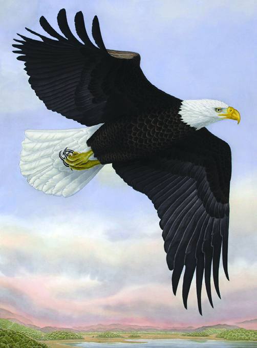 Work by John Costin, 2026