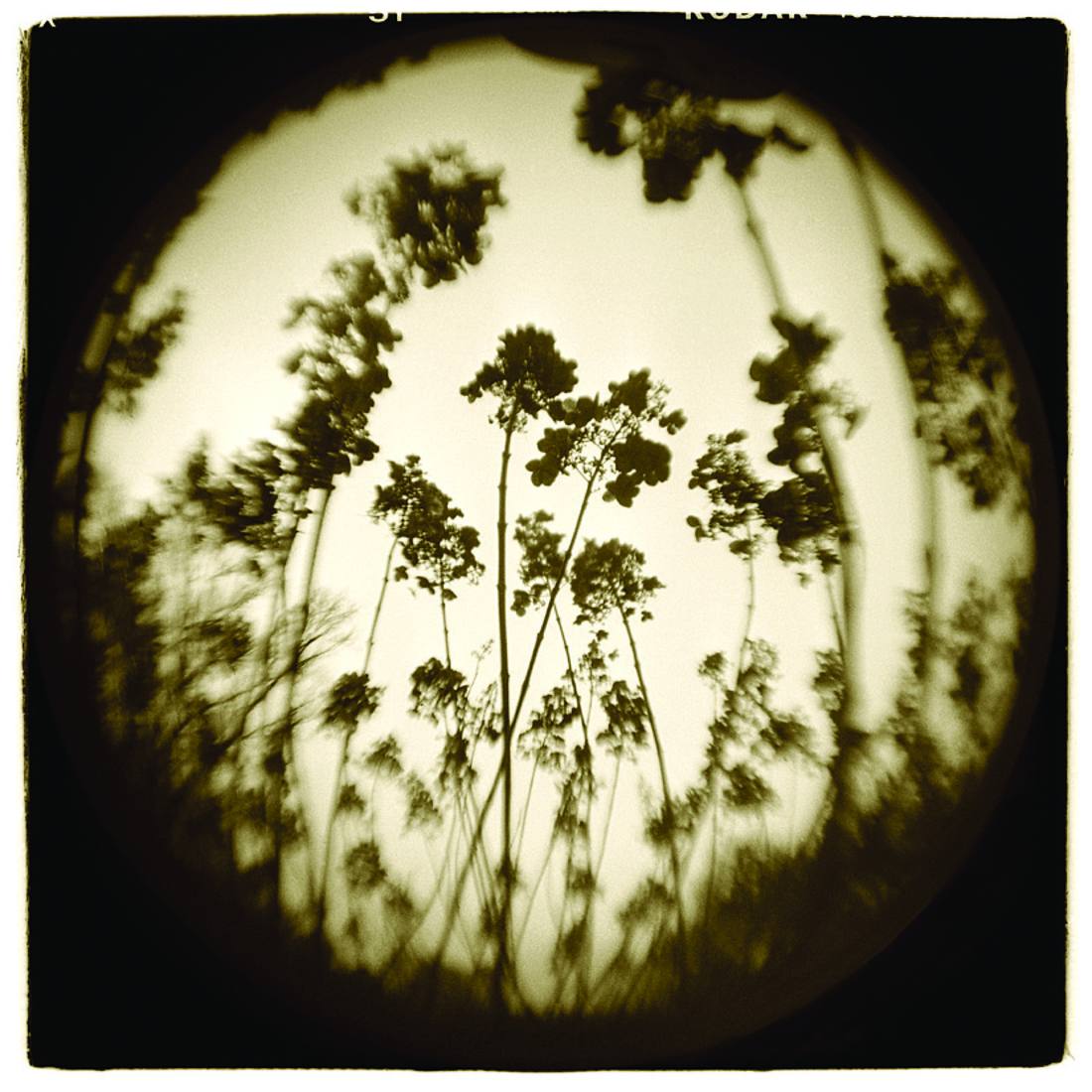 Work by Michael Bryant, 2025